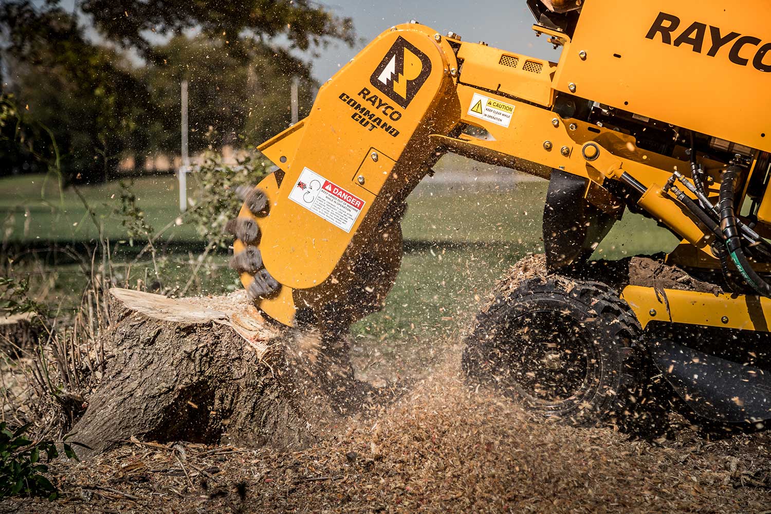 Rayco RG55 grinding stump close up