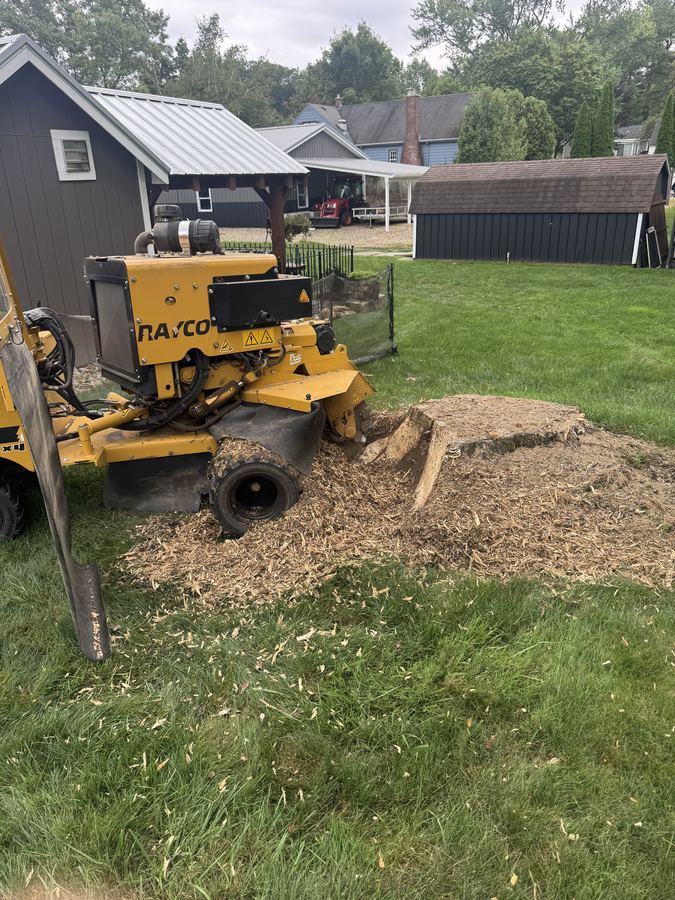 Large stump ground down to a mulch mound in a backyard