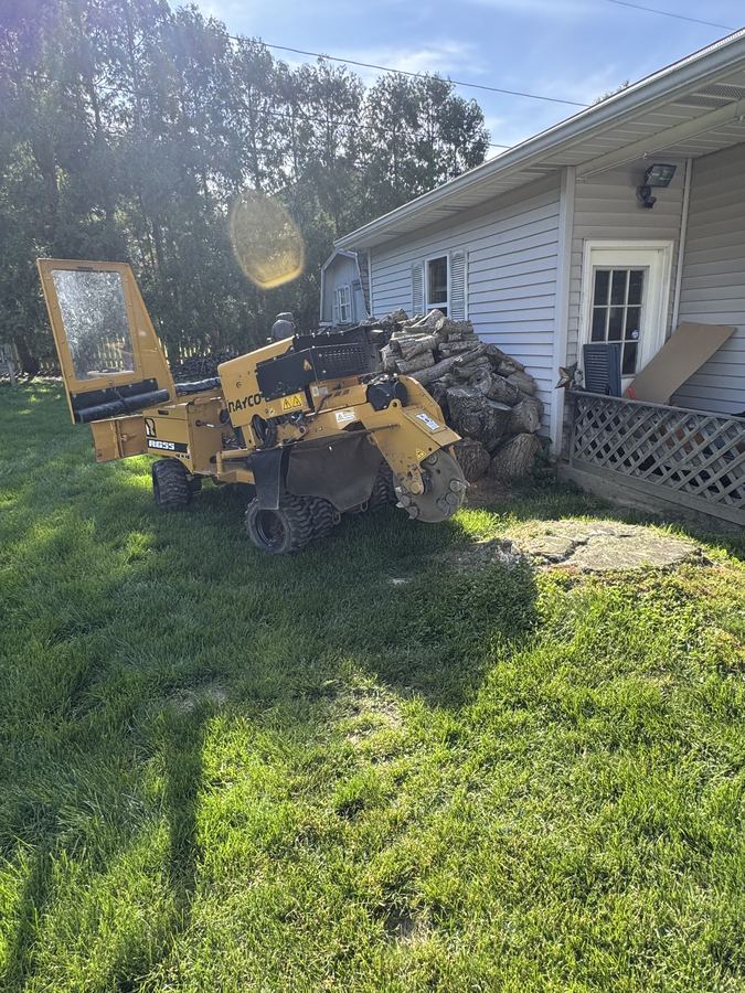 Rayco RG55 stump grinder positioned in a residential backyard