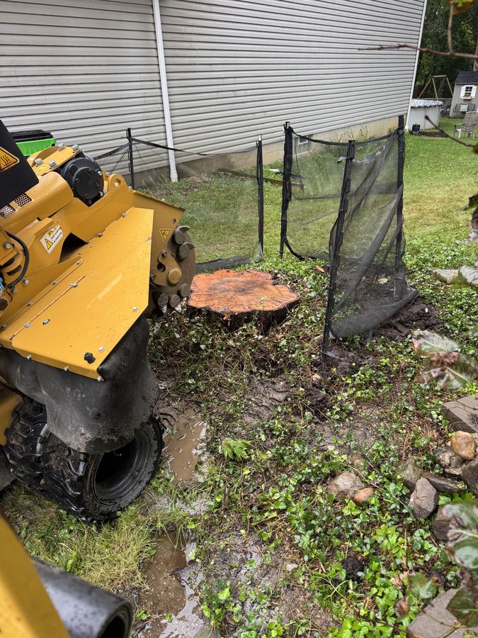 C4 Land Solutions grinding a stump next to a backyard deck